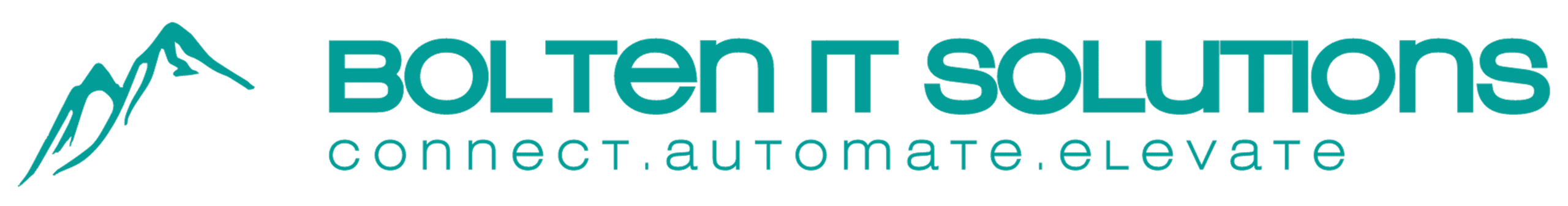 Bolten IT Solutions
